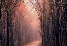 开云体育app-勒沃库森逆袭！德甲劲旅力压对手，书写不败神话晋级之路