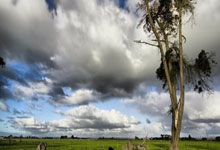 开云体育在线-鹿岛鹿角战术多变，力争战胜强敌