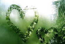 开云体育在线-鹿岛鹿角战术多变，力争战胜强敌