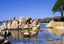 开云体育在线-鹿岛鹿角战术多变，力争战胜强敌