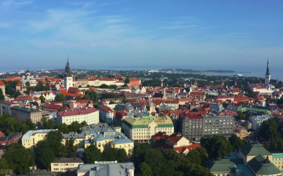 开云体育平台APP-关于爱沙尼亚篮球超级联赛：塔林队夺冠的信息