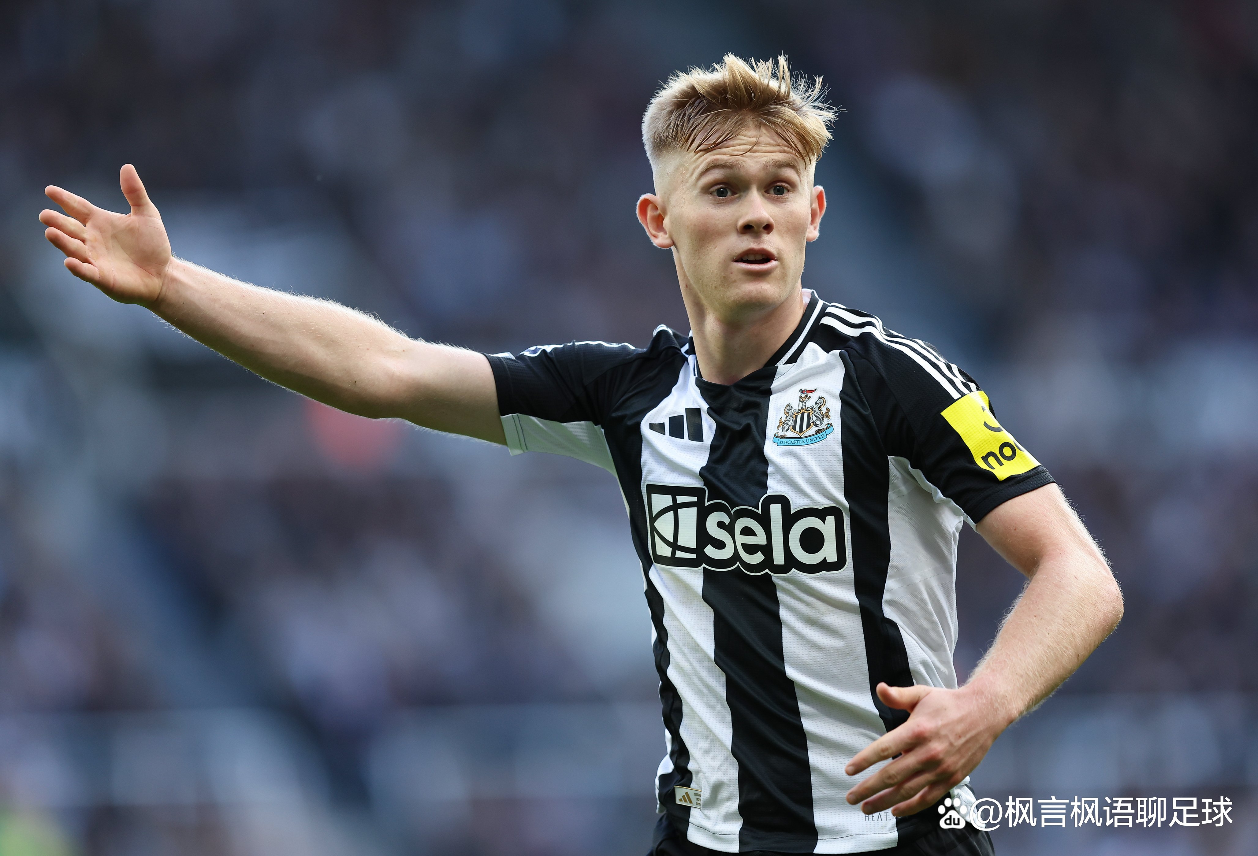 开云体育官方网站-关于西汉姆主场输给纽卡斯尔，遭遇两连败的信息