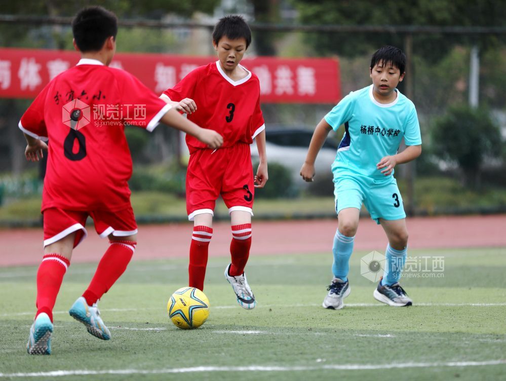 开云体育官方网站-展现足球魅力，掀起新一轮体育热潮