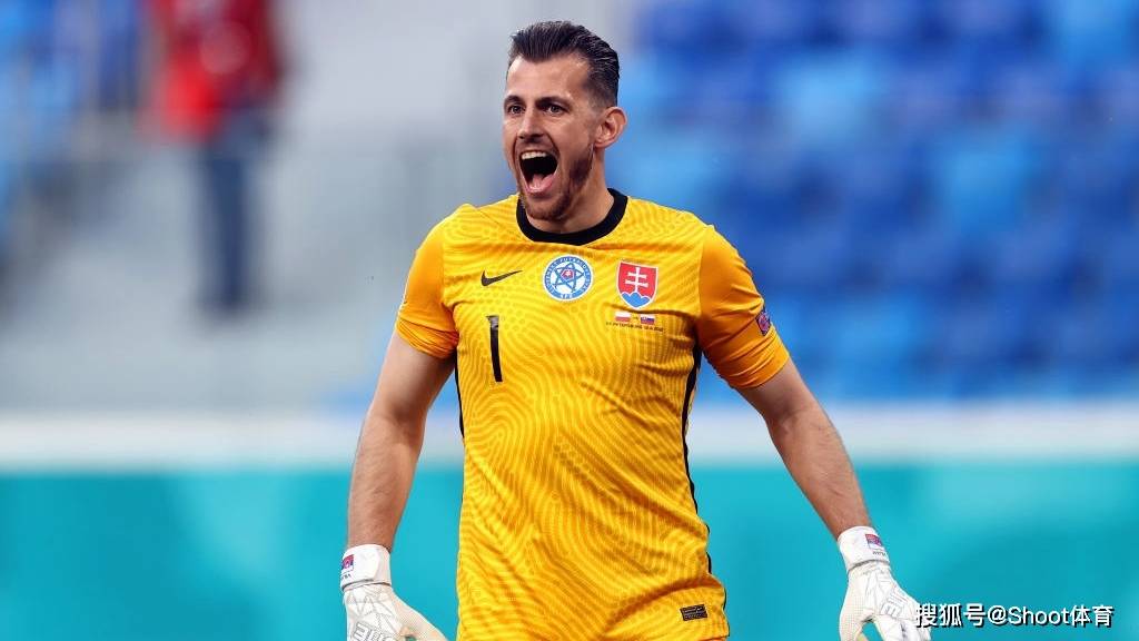 开云体育官方网站-奥地利队遗憾失利,被斯洛伐克队逆袭淘汰