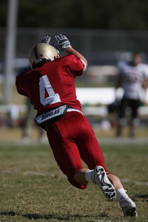 开云体育app-蒙特雷赛前训练公开，备战世俱杯冲刺