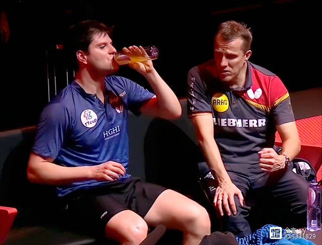 开云体育-包含波兰乒乓球队鏖战瑞典乒乓球队,奥恰洛夫绝境逆转的词条