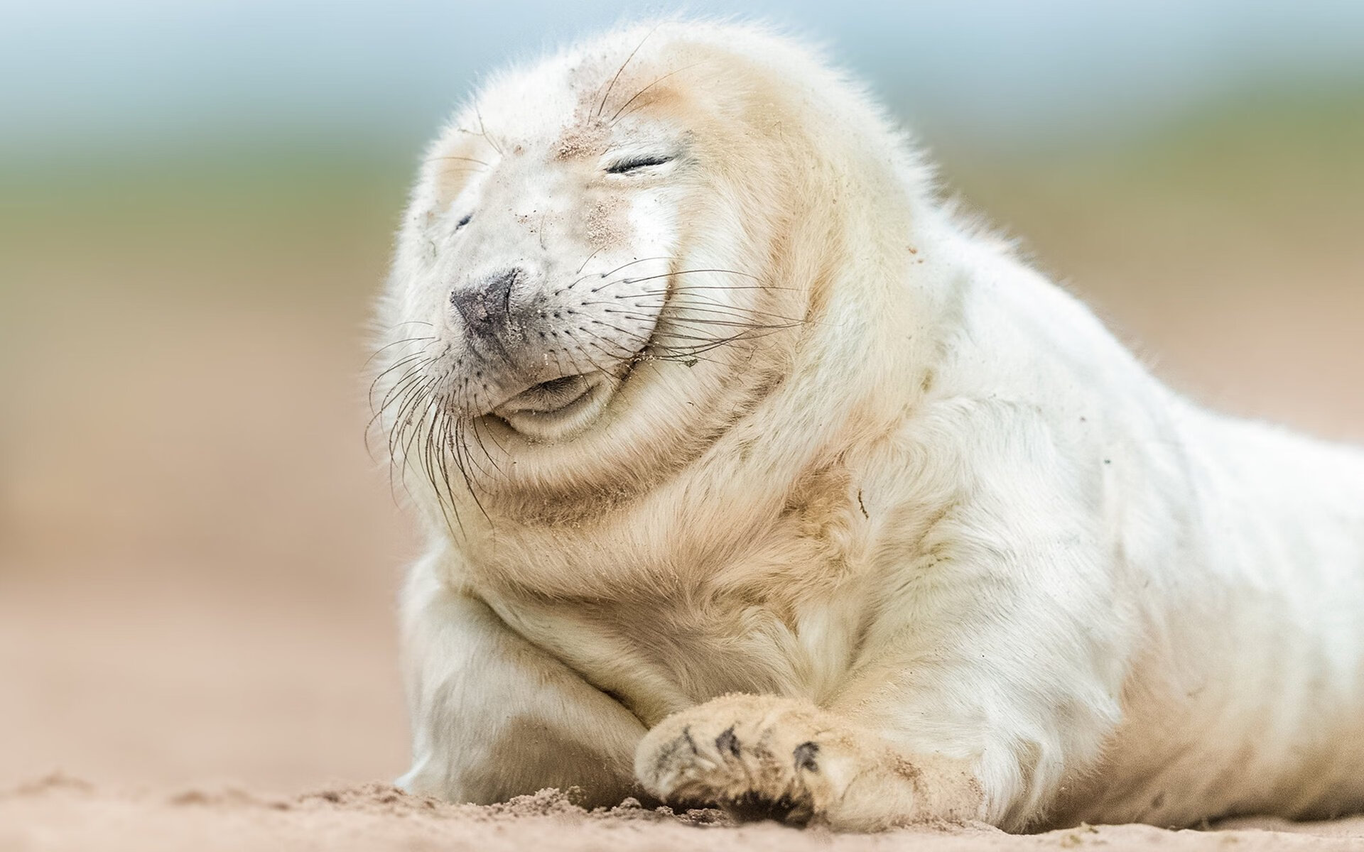 开云体育平台APP-欧冠暗流，罗德里戈单骑救主难掩隐患，皇家社会钝刀哲学为何更显恐怖？