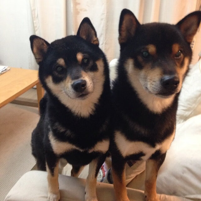 开云体育在线-双线统治！英格拉姆让东西方篮球的碰撞见证攻防终极形态