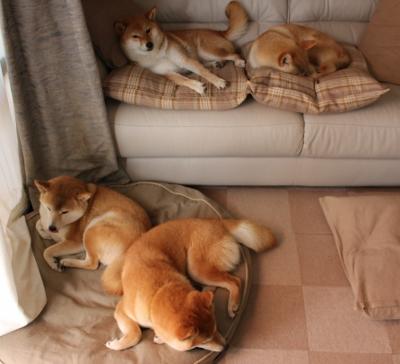 节奏的博弈，当尼斯旋律终结西班牙舞步，劳塔罗化身终极变奏