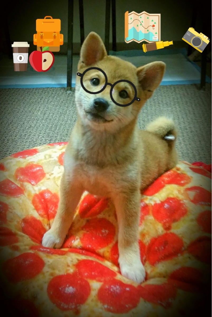 开云体育平台APP-新王当立！福克斯爆砍40+8击溃独行侠，六年磨一剑终成大器