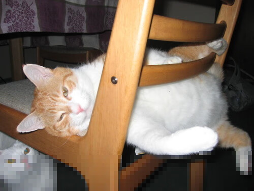 友谊赛罗德里戈独造三球，跨文化足球之夜见证团结力量