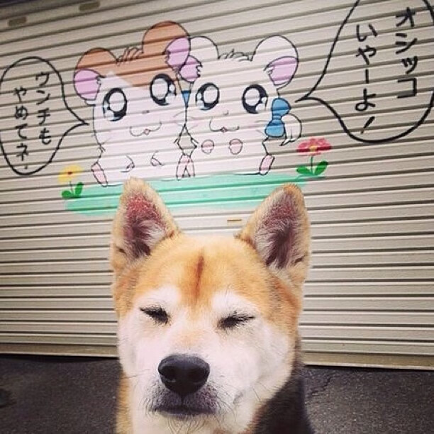 钢与火,硬仗之巅