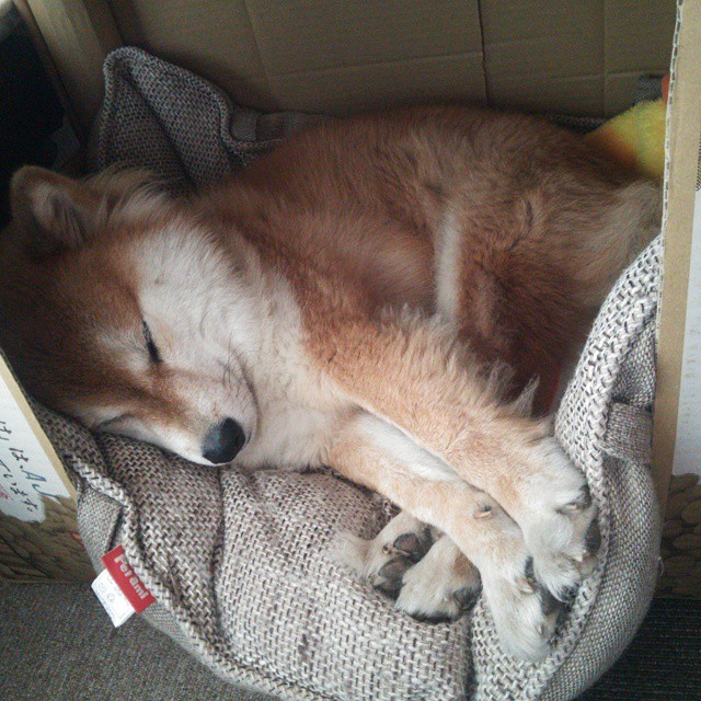 开云体育APP下载-新王当立！雄鹿绞碎铁壁掘金，拉梅洛·鲍尔化身关键先生