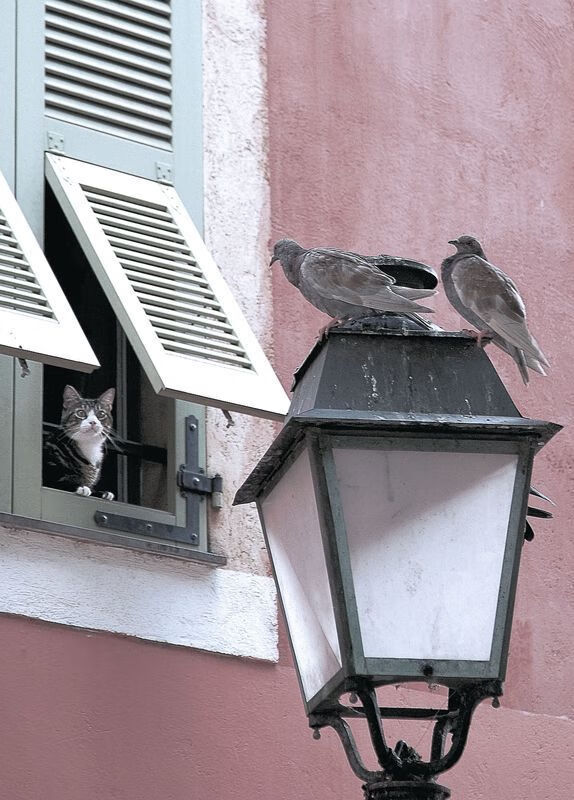 开云体育在线-赖斯主导节奏，哥斯达黎加式全面压制令马赛窒息