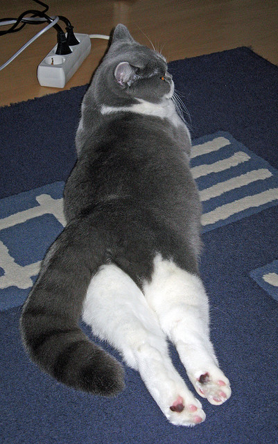 开云体育平台APP-绿茵场上的NBA级防守，当争冠之夜遇见小贾伦式锁死战术