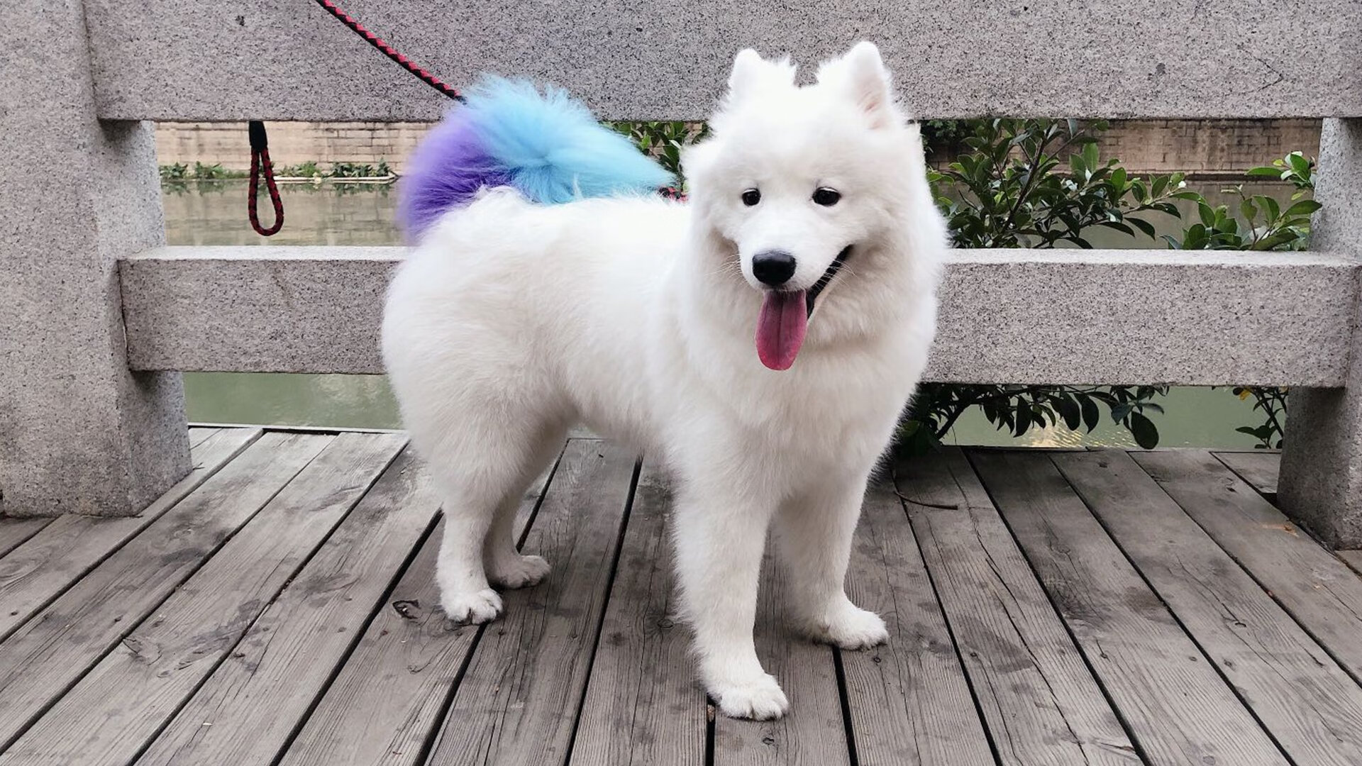 开云体育app-皇家社会狂胜尤文图斯，加维神勇让对手完全无解