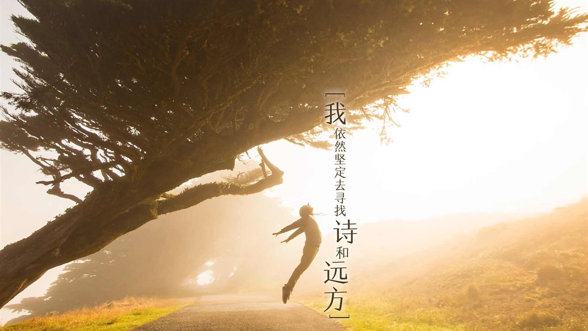 利拉德关键17分掀起制胜洪流 步行者连续得分狂潮压垮篮网